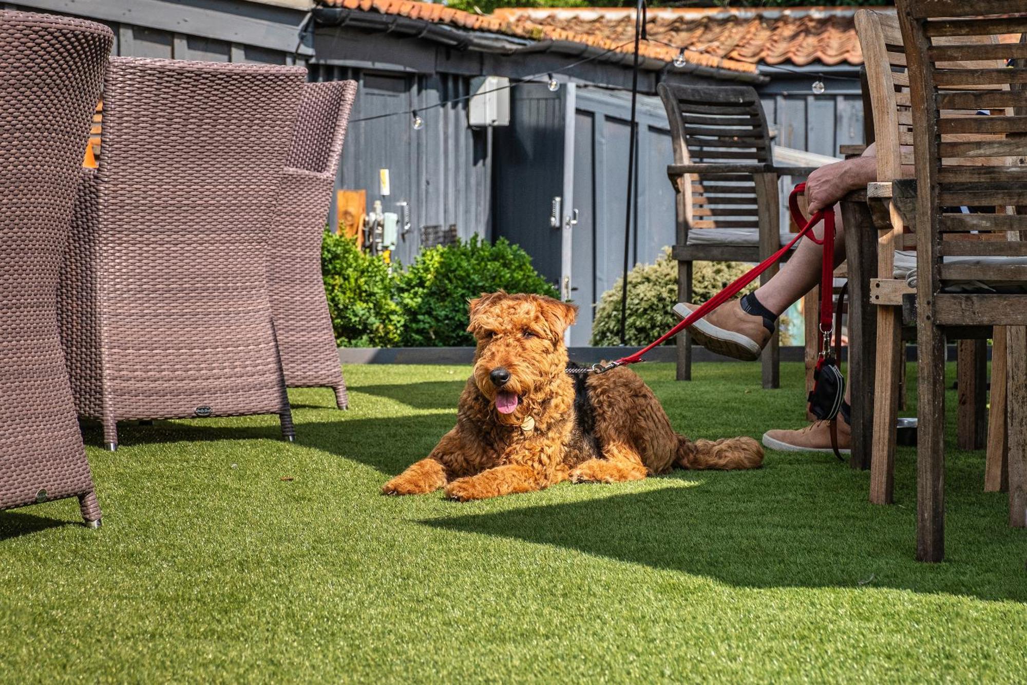 Hotel Wiveton Bell Blakeney  Zewnętrze zdjęcie